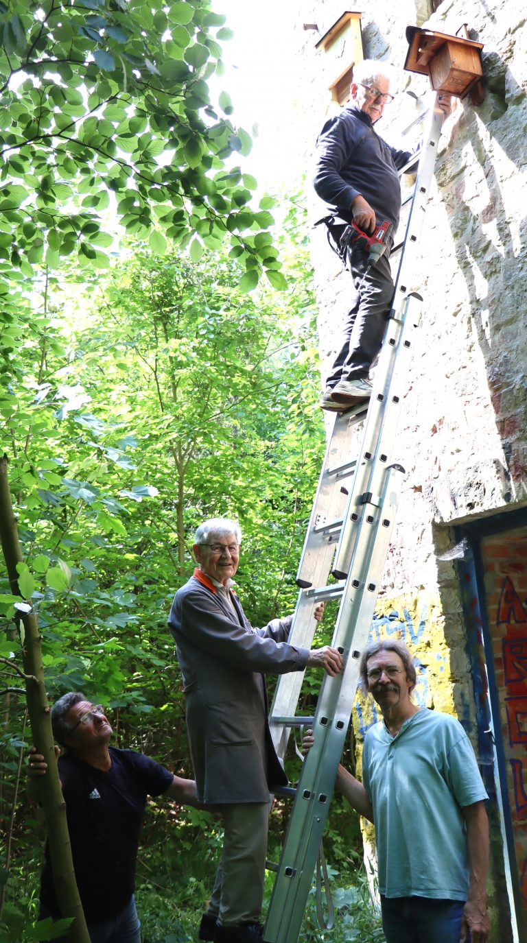 Fledermauskästen angebracht