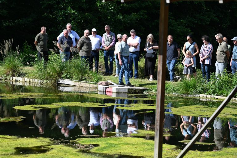 In Klein Steimke wird durch dieses Revitalisierungsprojekt ermöglicht