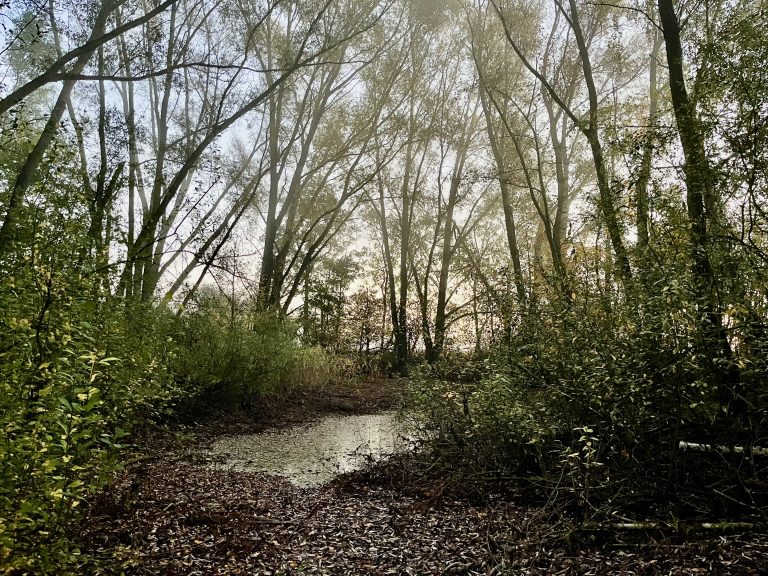 Hordorfer Teich wird entschlammt