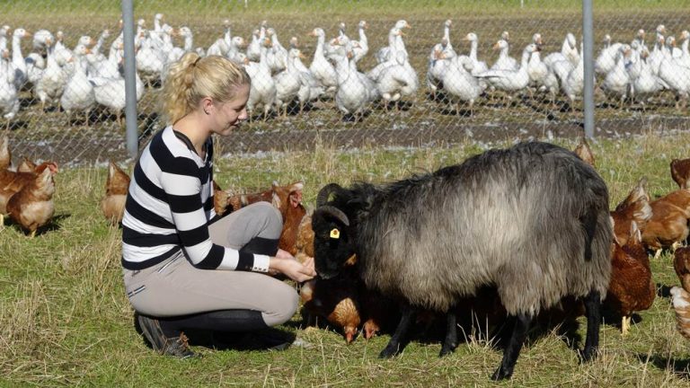 Der Dorfladen in Weddel überzeugt seit über 6 Jahren mit Qualität aus der Region Der Dorfladen in Weddel überzeugt seit über 6 Jahren mit Qualität aus der Region