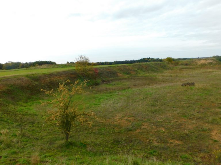 In den Herzogsbergen – Baggern für den Naturschutz