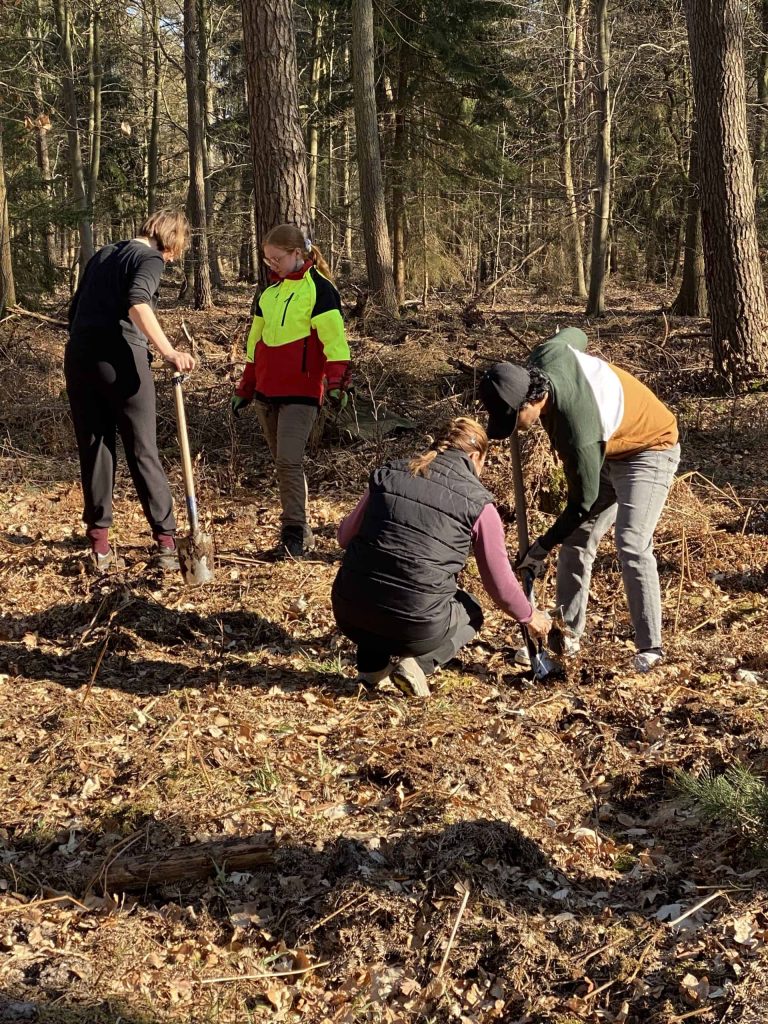 Klima-Aktion-Wald: Gemeinsame Pflanzaktion in den Landesforsten als Beitrag zum Klimaschutz