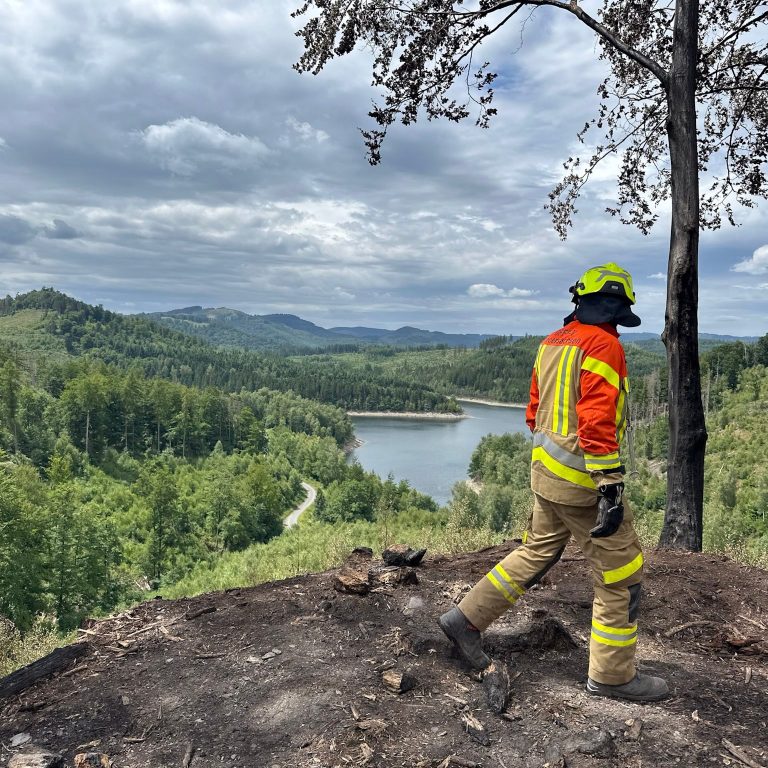 Waldbrand am Steinberg unter Kontrolle – Nachlöscharbeiten dauern an