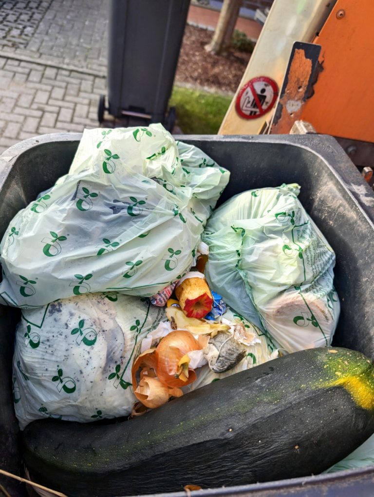 Gelbe oder rote Karte an der Biotonne? – ALW startet Kontrollaktion gegen Fehlwürfe