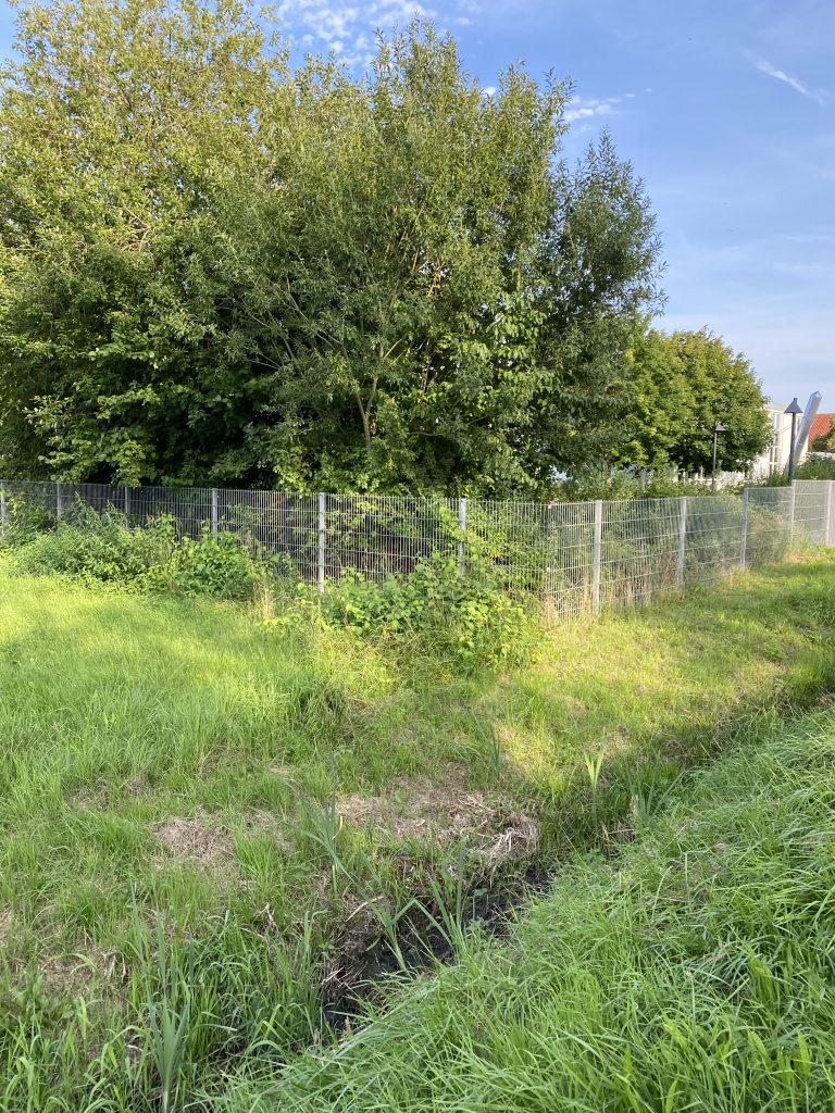 CDU kritisiert Verzögerung bei Gewerbegebieten – Bürgermeister Kaatz in der Verantwortung