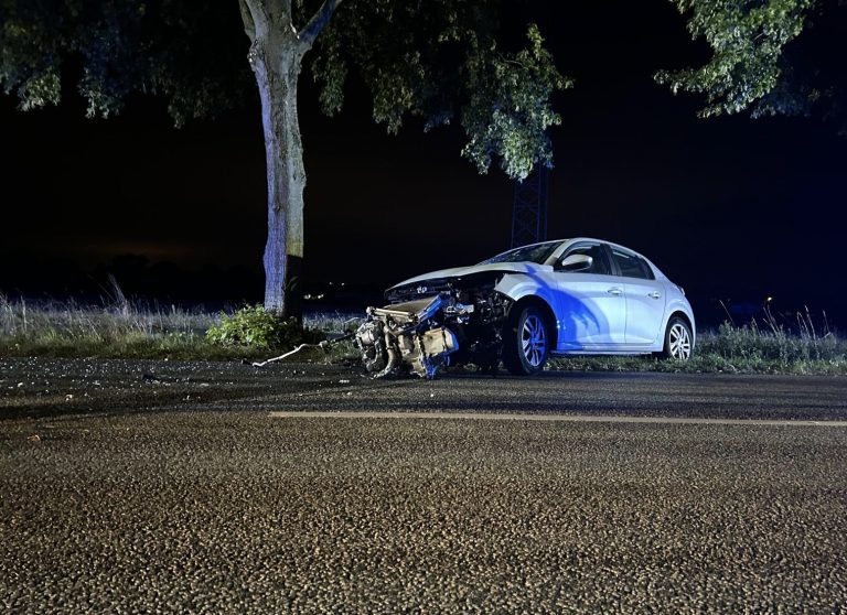 PKW prallt bei Weddel gegen Baum