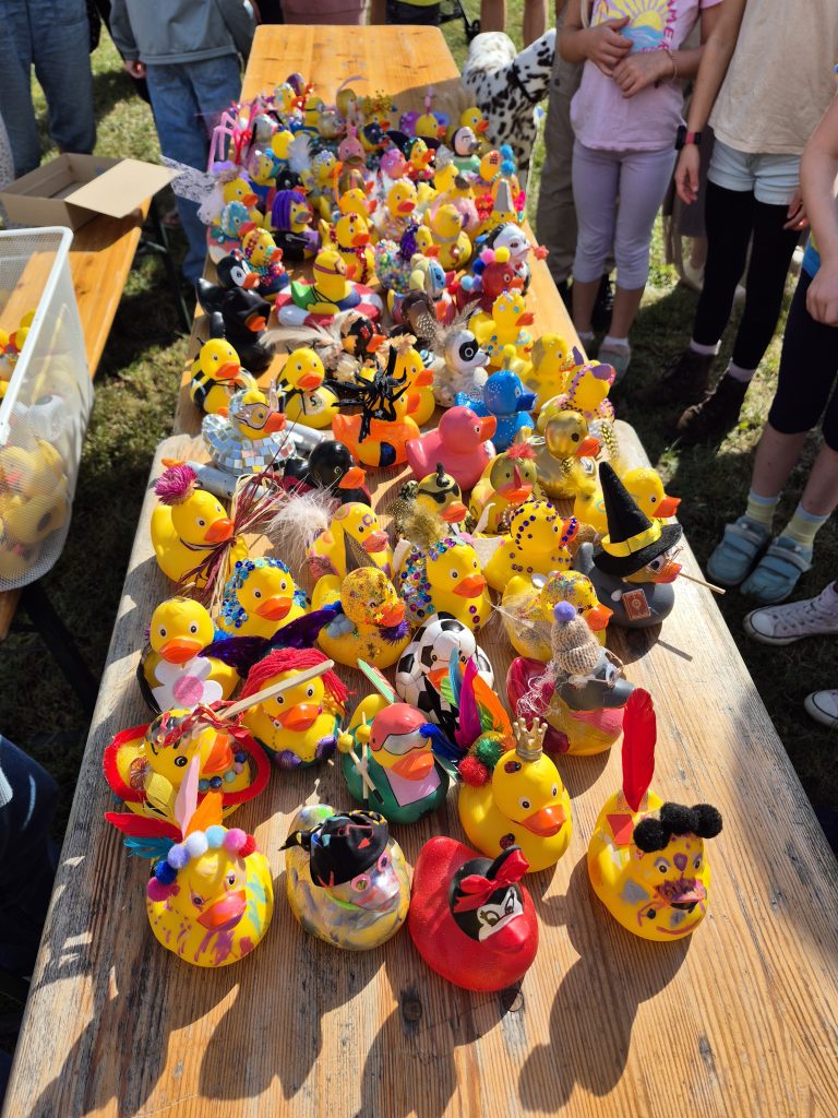 Entenrennen auf der Wabe