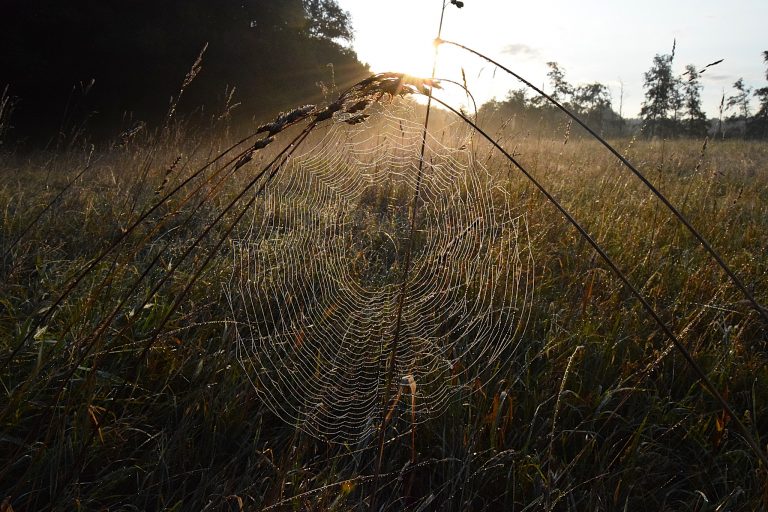 Noch wenige Plätze frei: Ausbildung zum Geoguide und zertifizierten Natur- und Landschaftsführer