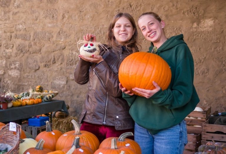 Obst und Gemüse direkt vom Bauernhof – sooo lecker und gesund!