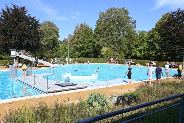 Hundeschwimmen am Elm – Ein Event für die ganze Familie