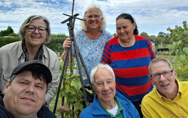 Tomaten und Tagetes aus dem Gemeinschaftsgarten „Flora“ in Cremlingen