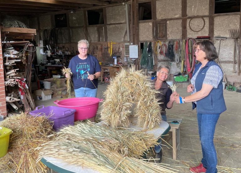 Cremlinger Landwirtsfamilien binden neue Erntekrone für die Kirche