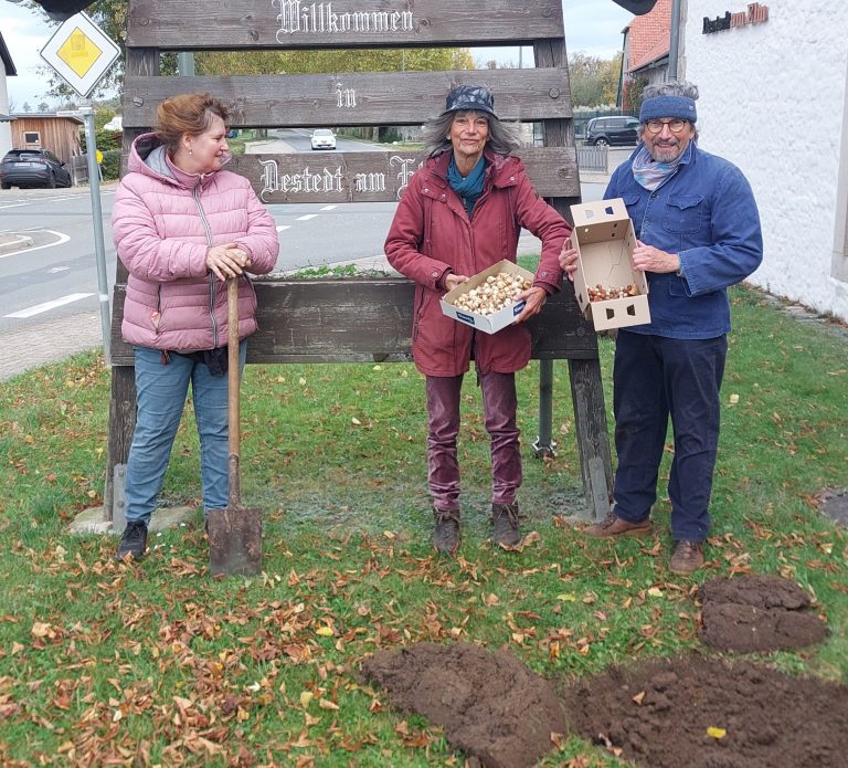 Weitere 500 Frühblüher vor Haus der Vereine gesteckt