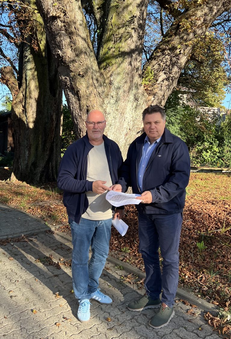 Zwei gewaltige Kastanien in Lucklum sollen zu Naturdenkmalen ausgewiesen werden