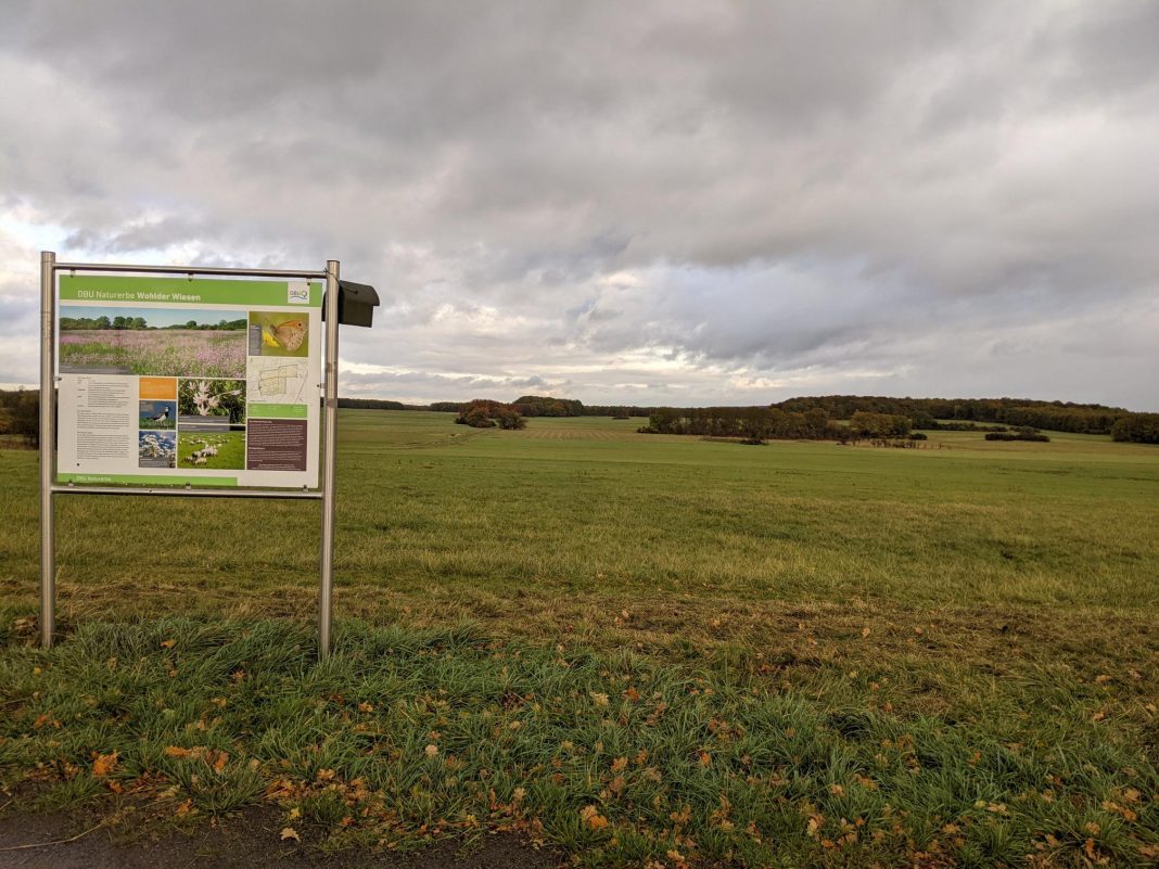 PXL_20251027_142038013 Presse