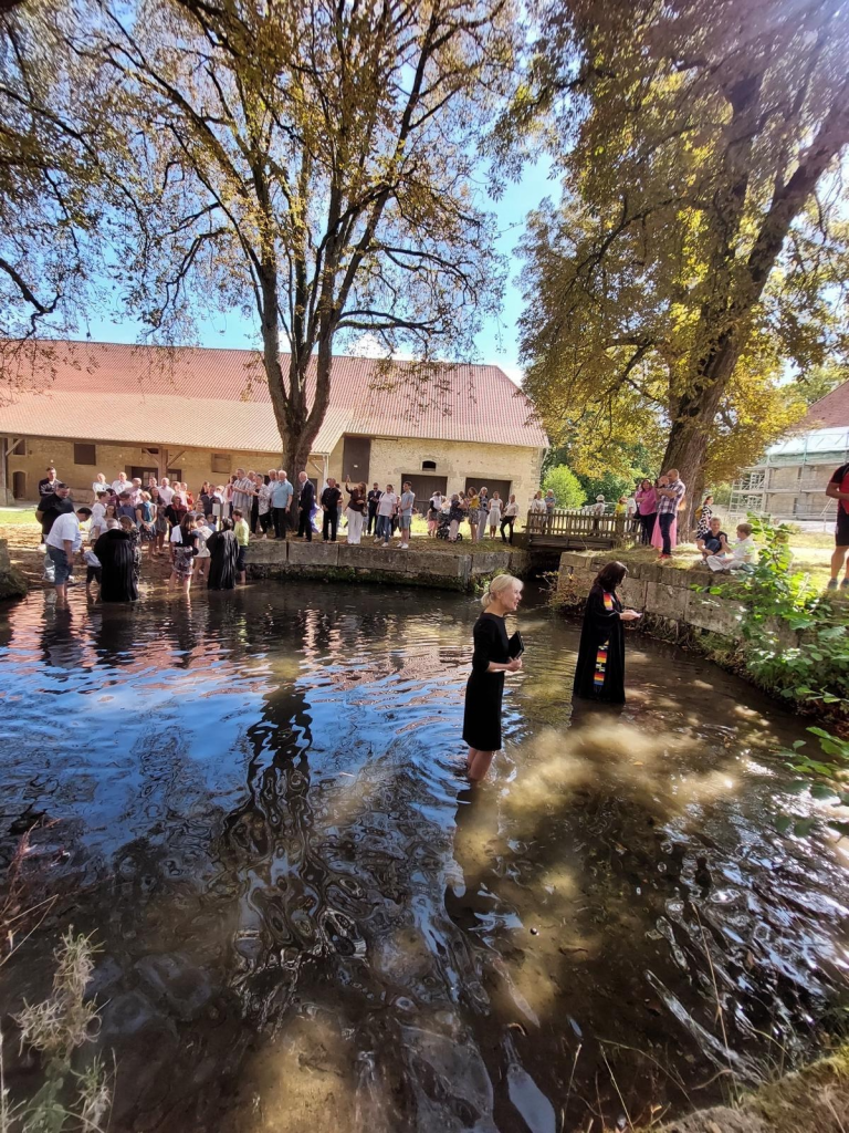 Lebendig Wohnen auf dem Rittergut