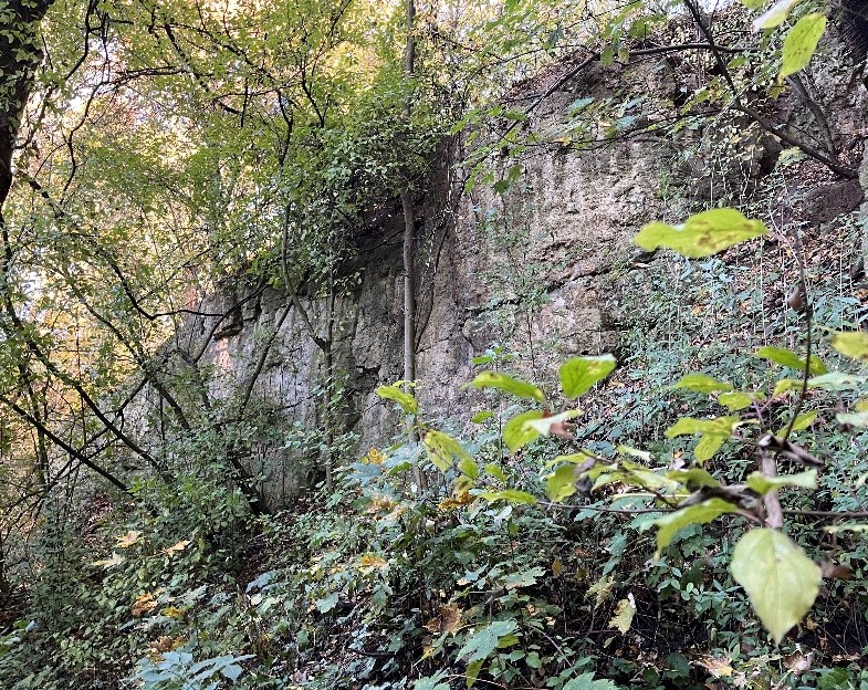Steinbruch in Erkerode