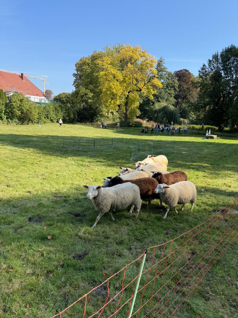 Rückblick „Tag der Land- und Forstwirtschaft“ am Sonntag, den 28. September 2025 Rückblick „Tag der Land- und Forstwirtschaft“ am Sonntag, den 28. September 2025