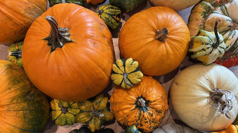 Ein unvergesslicher Ausflug zu Bauer Giffhorn in Volzum