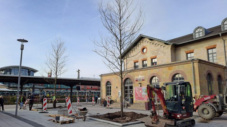 Neue „Klimabäume“ für mehr Stadtgrün und Sicherheit am Kulturbahnhof