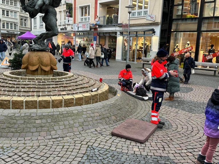 Helfer mit vier Pfoten bitten um Hilfe