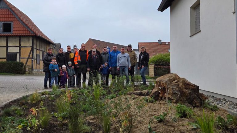 Aus Pflaster wird Lebensraum: Vorplatz wird zur naturnahen Oase