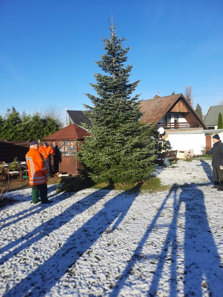 Weihnachtsbaum in Destedt aufgestellt