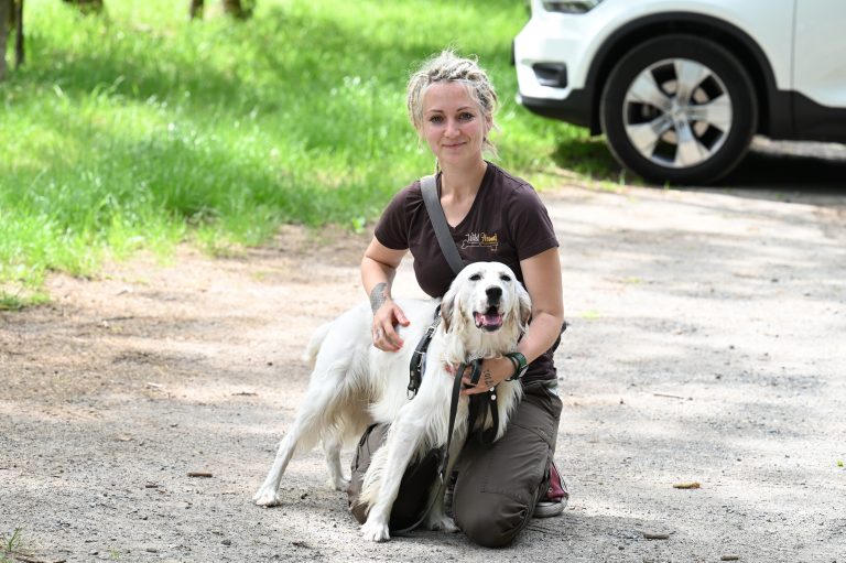 Hundesteuer: Erhöhung ab dem zweiten Hund beschlossen