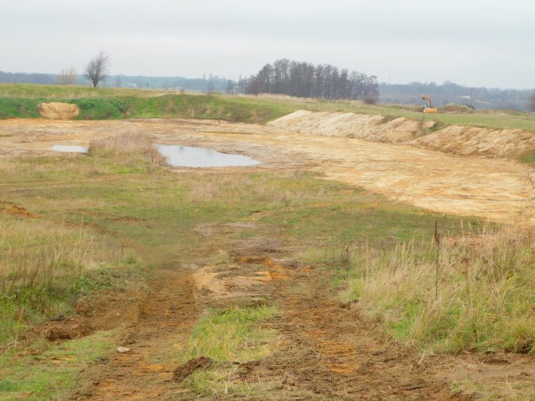 Pflegearbeiten in den Herzogsbergen – Lebensräume für Kröten werden verbessert
