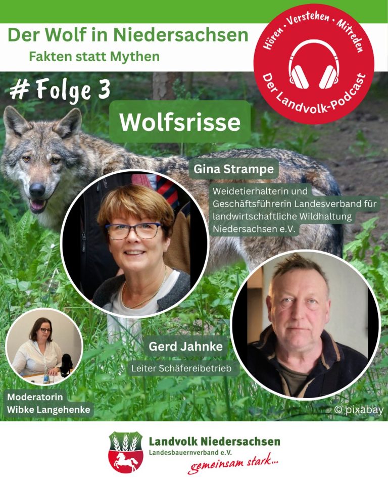 Der Wolf in Niedersachsen: Fakten statt Mythen
