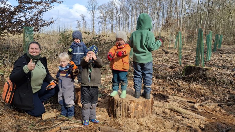 Gemeinsam für den Wald von morgen: Die Waldfüchse pflanzen Zukunft