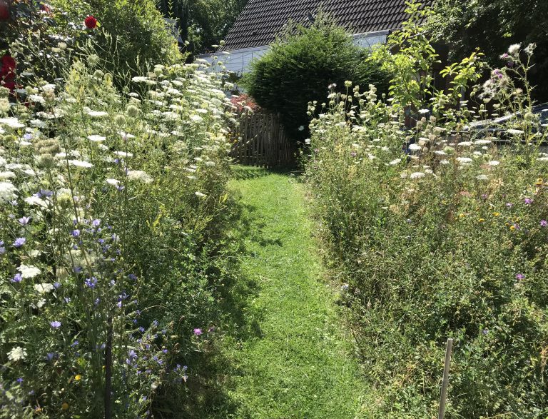 Wildblumen statt Schotterwüste