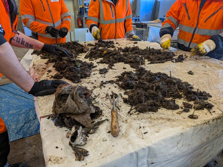 Deutlich weniger Fremdstoffe im Bioabfall – Information und Kontrollen zeigen Wirkung