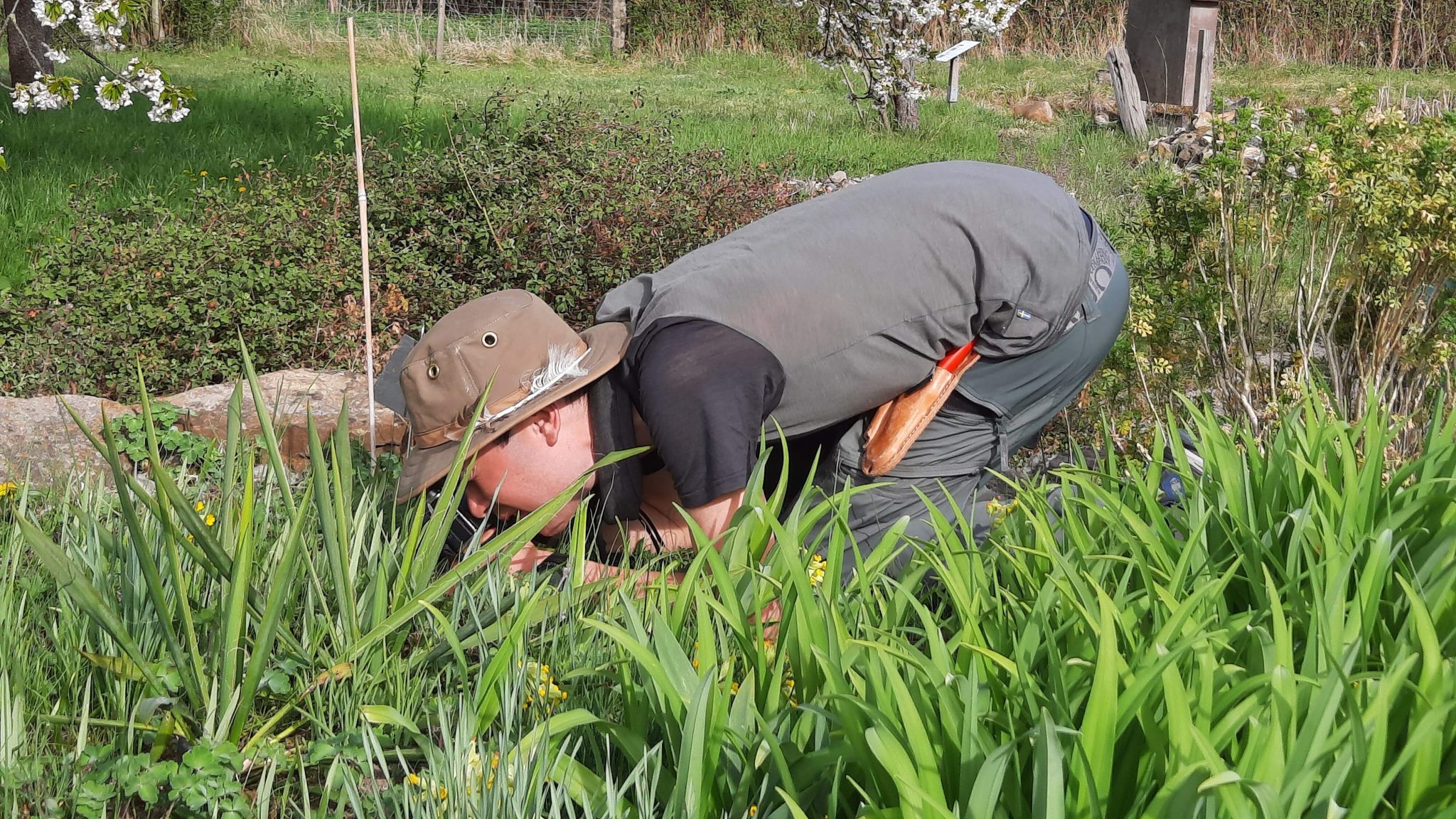 Unterwegs mit dem Ranger – Mitmachen, entdecken, staunen: Der lebendige ...
